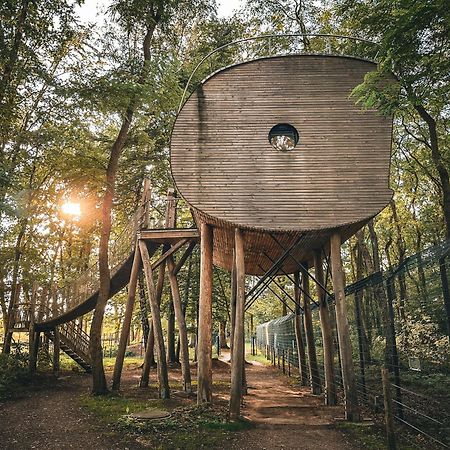 Tree Inn - Das Baumhaushotel Dörverden Exteriör bild