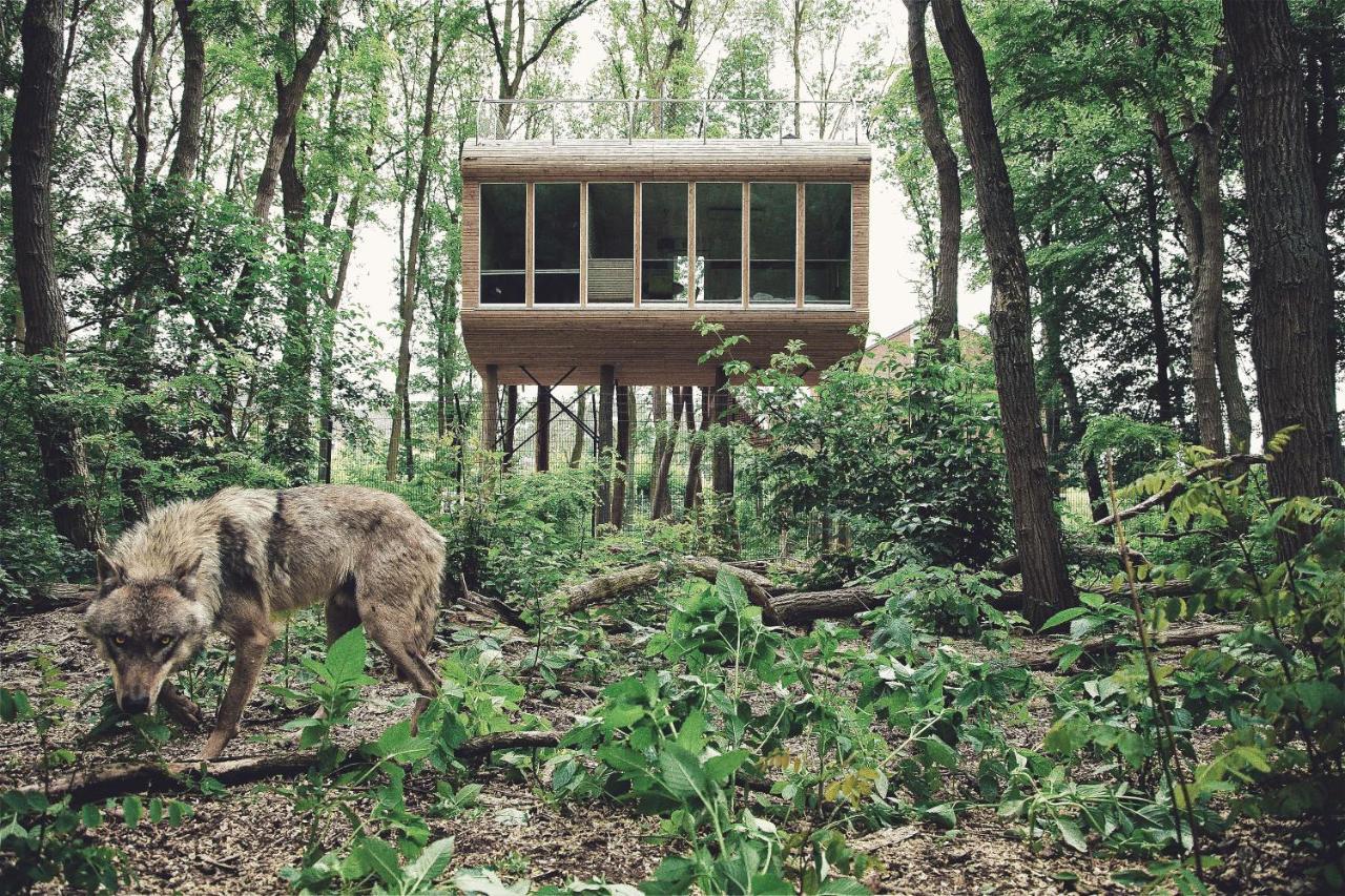 Tree Inn - Das Baumhaushotel Dörverden Exteriör bild