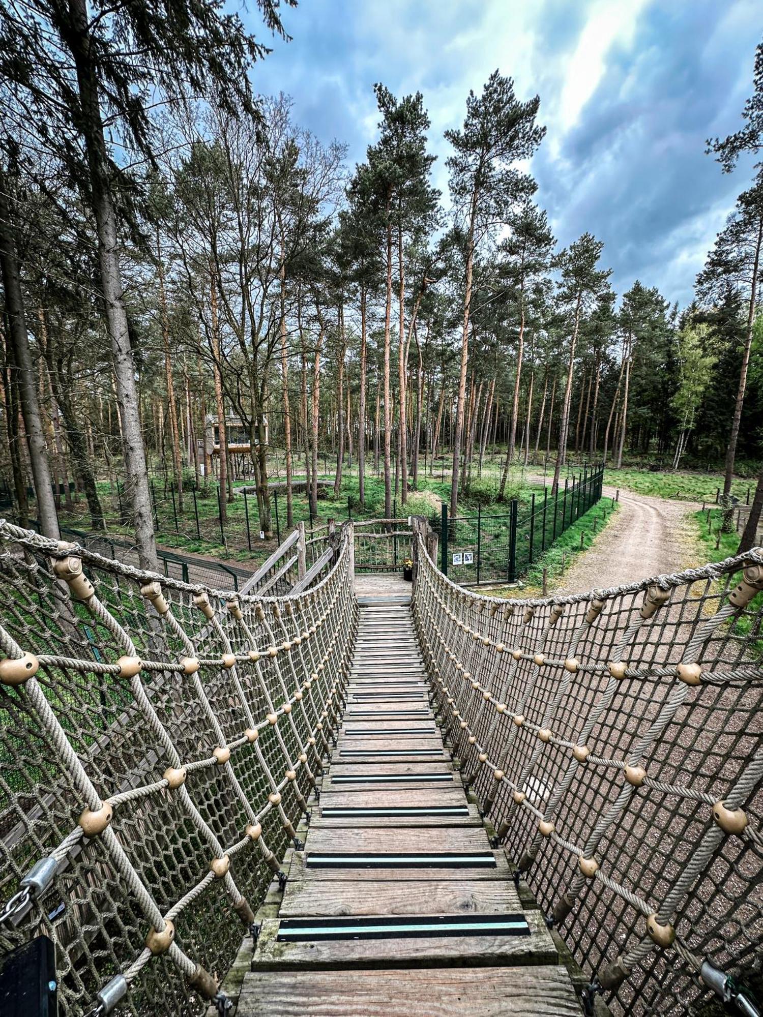 Tree Inn - Das Baumhaushotel Dörverden Exteriör bild
