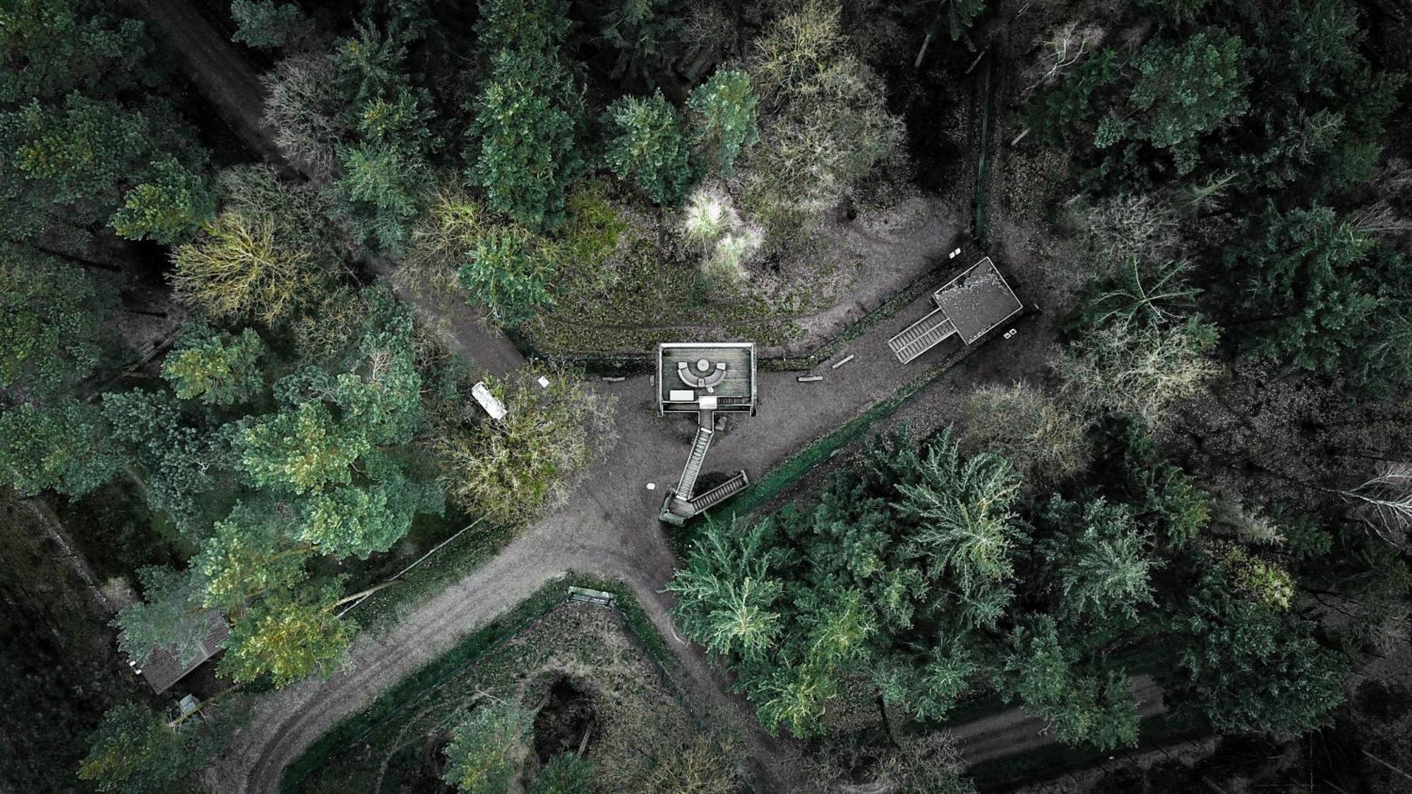 Tree Inn - Das Baumhaushotel Dörverden Exteriör bild