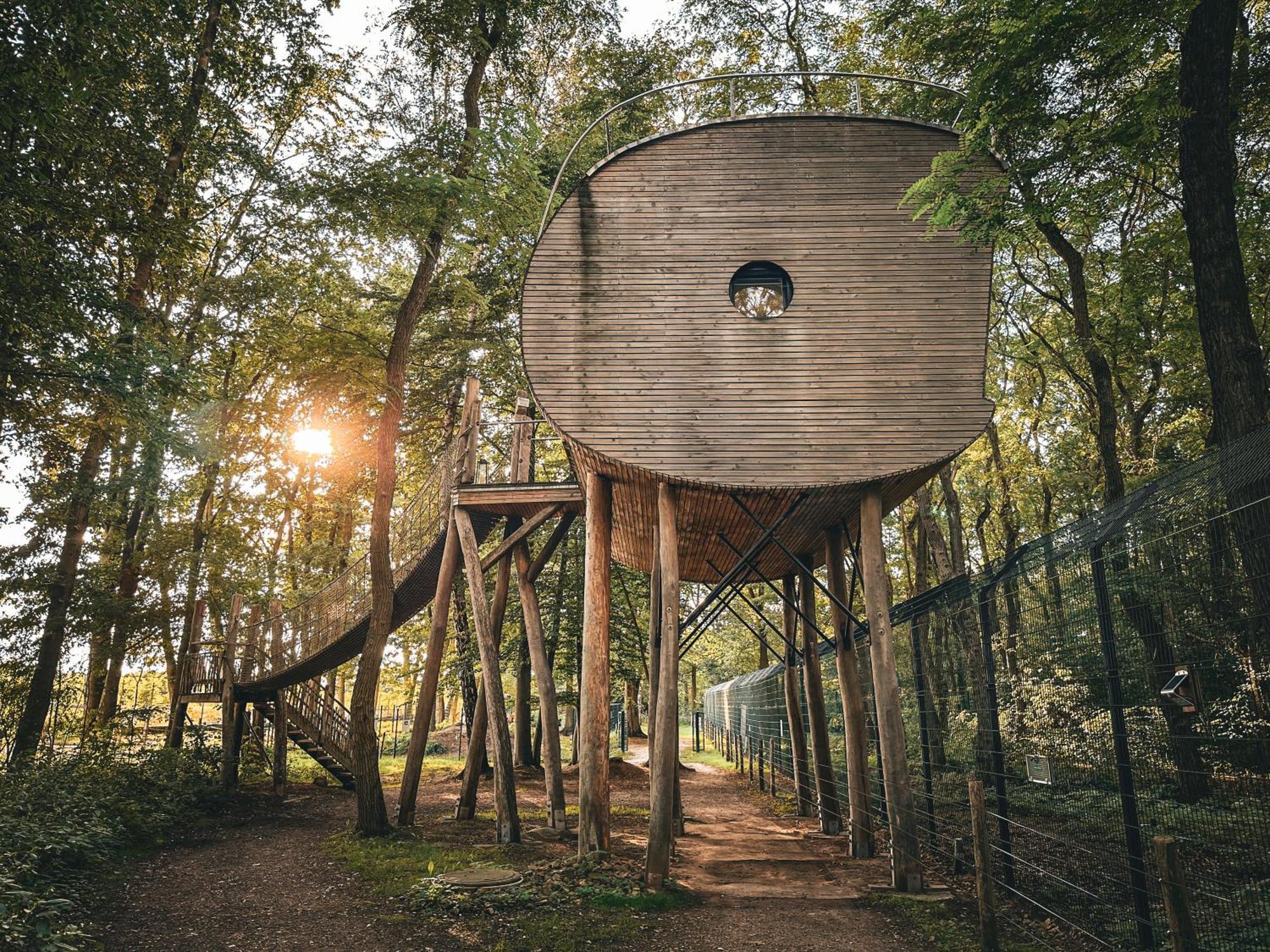 Tree Inn - Das Baumhaushotel Dörverden Exteriör bild