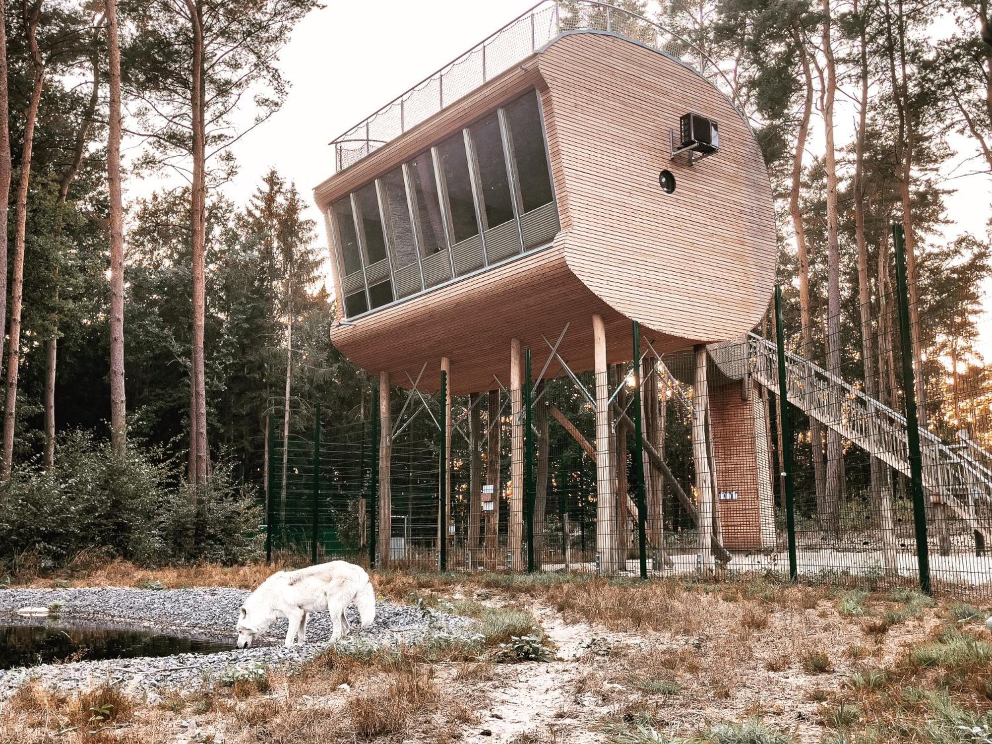Tree Inn - Das Baumhaushotel Dörverden Exteriör bild