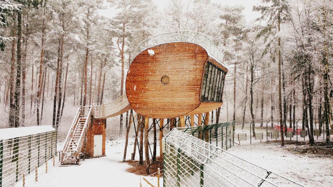 Tree Inn - Das Baumhaushotel Dörverden Exteriör bild